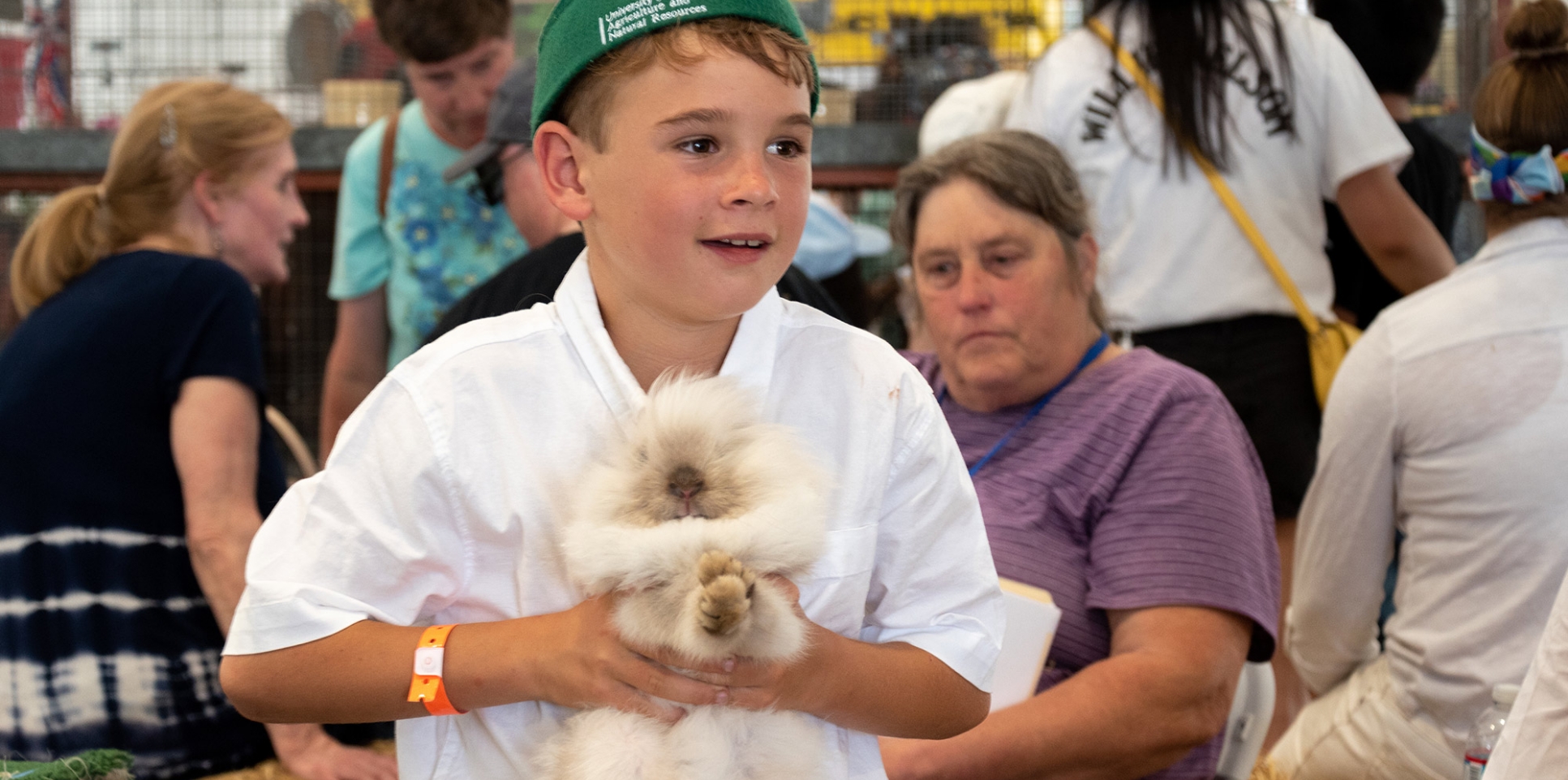 little boy with a green hat holding a bunny for livestock